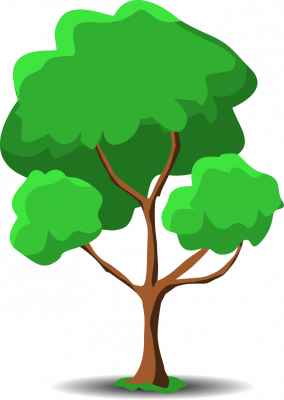 Arbre4.png