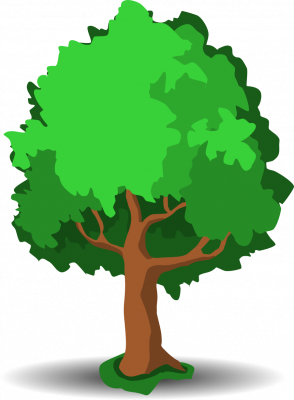 arbre5.png