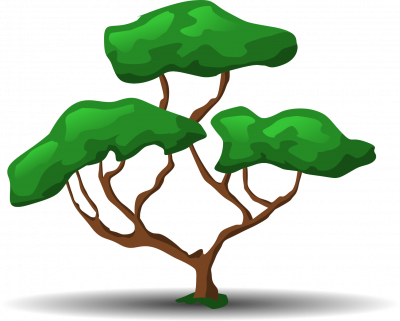 arbre6.png