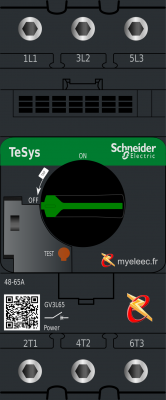 Schneider Tesys Deca Disj Mot GV3L65.png
