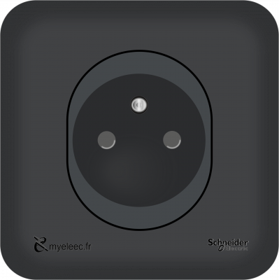 Schneider Ovalis - PC 2P+T anthracite.png