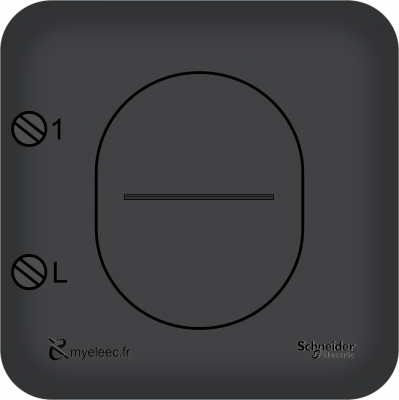 Schneider Ovalis Old- simple allumage anthracite bornes.png