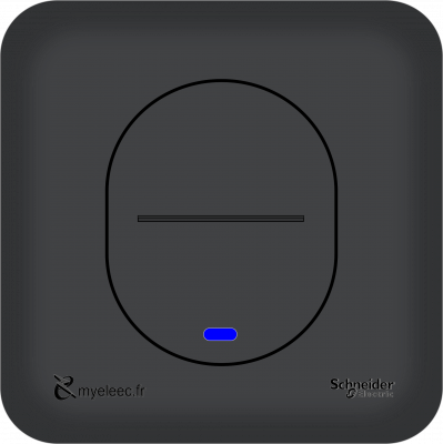 Schneider Ovalis Old- Va et vient lumineux anthracite.png