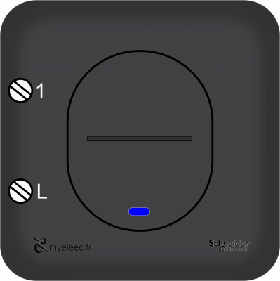 Schneider Ovalis Old- Poussoir lumineux anthracite bornes V3.png