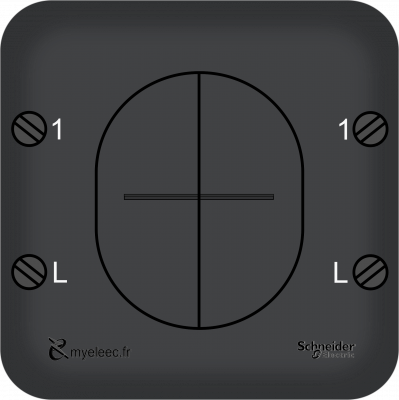 Schneider Ovalis Old- Double poussoir anthracite bornes V2.png