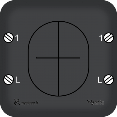 Schneider Ovalis Old- Double poussoir anthracite bornes V3.png