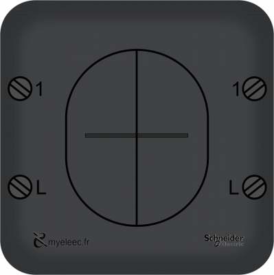 Schneider Ovalis Old- Double poussoir anthracite bornes.png