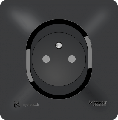 Schneider Ovalis NEW- PC 2P+T Anthracite puits.png