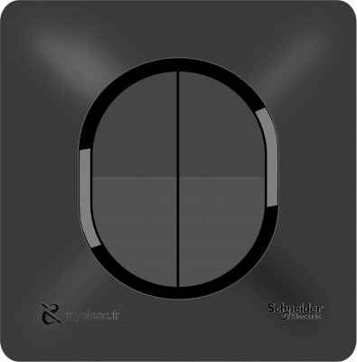 Schneider Ovalis NEW- Double Va-et-Vient anthracite.png