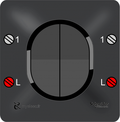 Schneider Ovalis NEW- Double bouton-poussoir anthracite bornes.png
