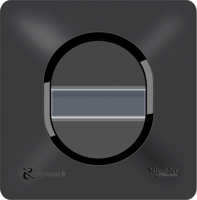 Schneider Ovalis NEW- Bouton-Poussoir porte étiquette anthracite.png