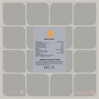 Panneau photovoltaïque arrière BEEM.png