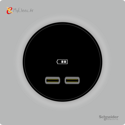 Schneider_Odace_2025_2USBC_Gris galetV2.png