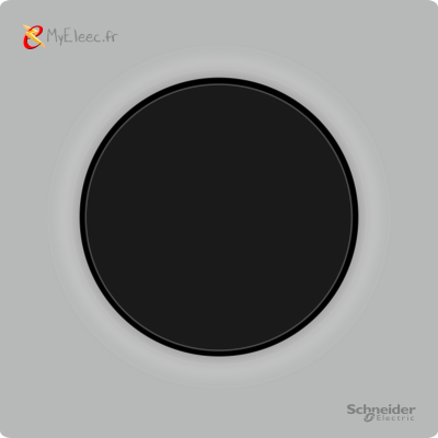 Schneider_Odace_2025_VV_Poussoir_Gris galetV2.png