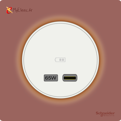 Schneider_Odace_2025_USBC_Rose grenat.png