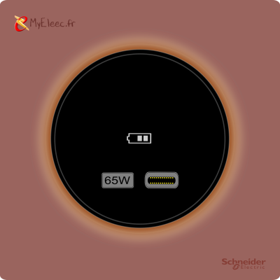 Schneider_Odace_2025_USBC_Rose grenatV2.png
