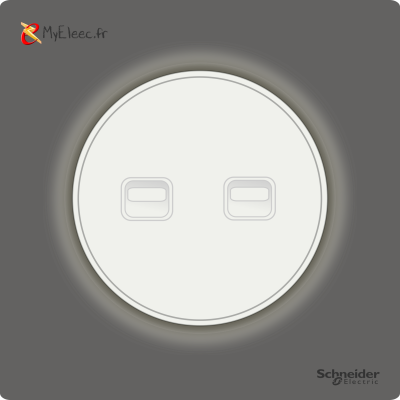 Schneider_Odace_2025_Levier_Double_VV_Poussoir_Gris basalte.png
