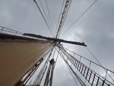 DSCF2554.JPG