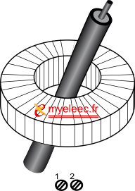 Tore V1.png