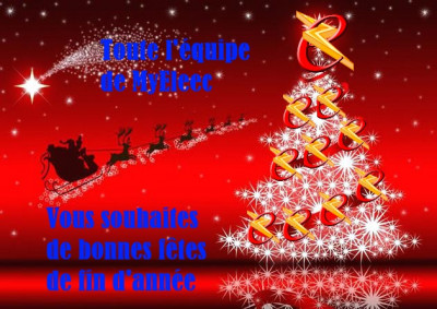 Bonnes fêtes de fin d'année 202.jpg