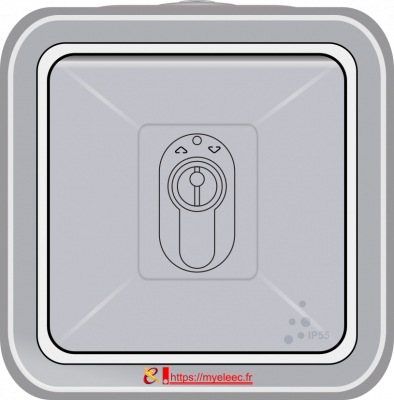Legrand 697 06-57 - Interrupteur à clé.png