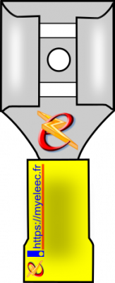Cosse femelle jaune.png